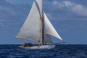 Single Handed Race, Off English Harbor, Antigua